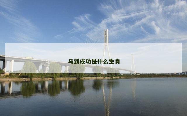 马到成功是什么生肖