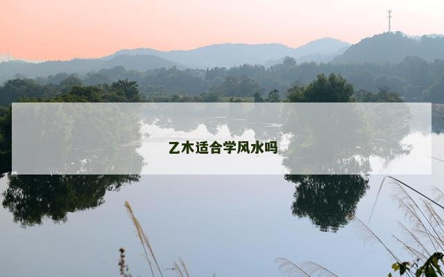 乙木适合学风水吗