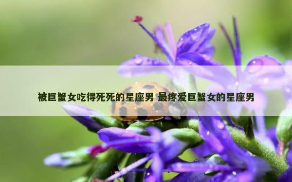 被巨蟹女吃得死死的星座男 最疼爱巨蟹女的星座男