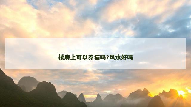 楼房上可以养猫吗?风水好吗