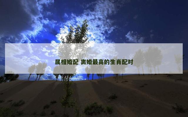 属相婚配 离婚最高的生肖配对