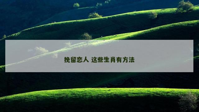 挽留恋人 这些生肖有方法