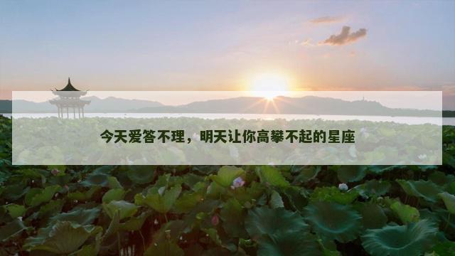 今天爱答不理，明天让你高攀不起的星座