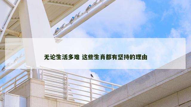 无论生活多难 这些生肖都有坚持的理由