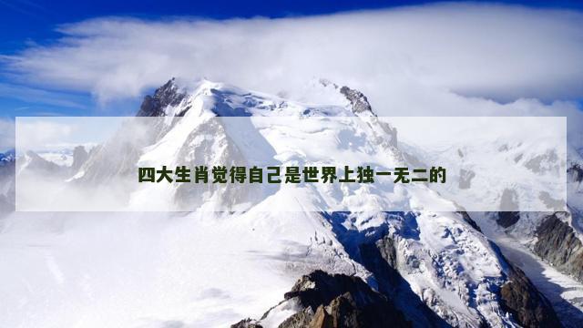 四大生肖觉得自己是世界上独一无二的