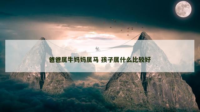 爸爸属牛妈妈属马 孩子属什么比较好
