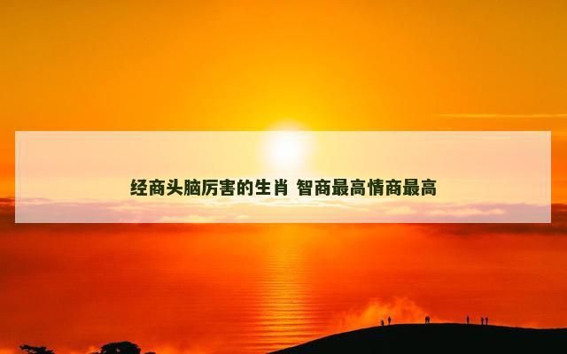 经商头脑厉害的生肖 智商最高情商最高