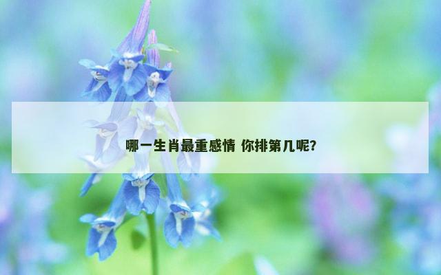 哪一生肖最重感情 你排第几呢？