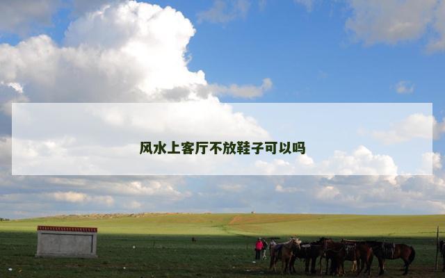 风水上客厅不放鞋子可以吗