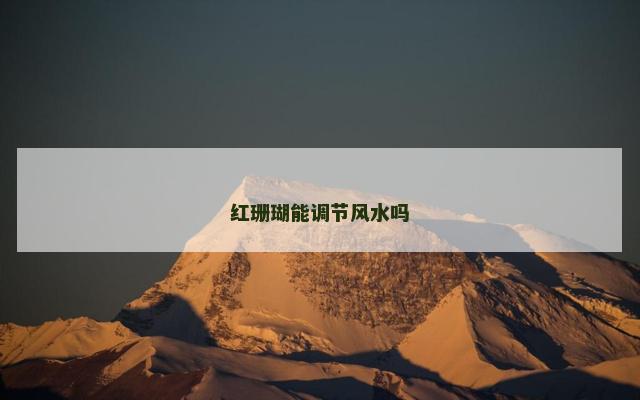 红珊瑚能调节风水吗