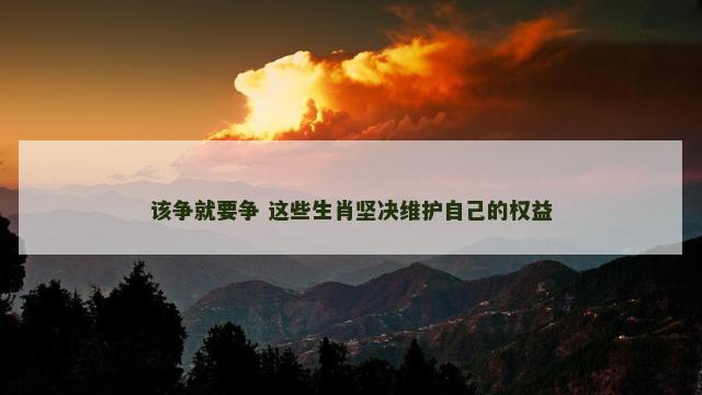 该争就要争 这些生肖坚决维护自己的权益