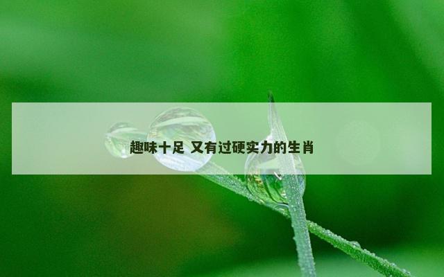 趣味十足 又有过硬实力的生肖