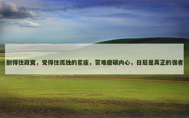 耐得住寂寞，受得住孤独的星座，苦难磨砺内心，日后是真正的强者
