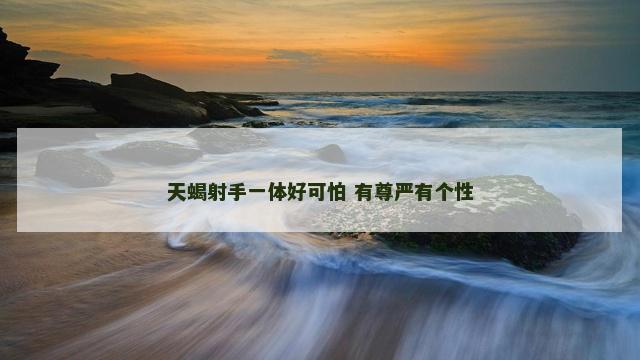 天蝎射手一体好可怕 有尊严有个性
