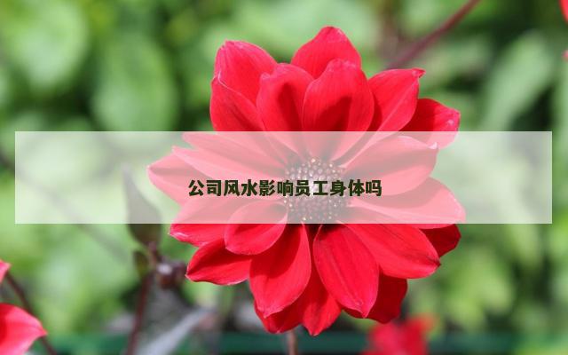公司风水影响员工身体吗