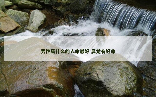 男性属什么的人命最好 属龙有好命