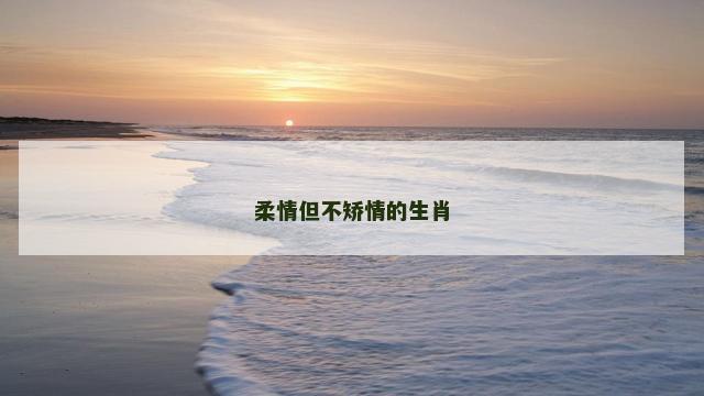 柔情但不矫情的生肖