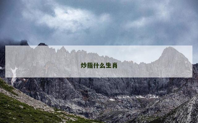 炒指什么生肖