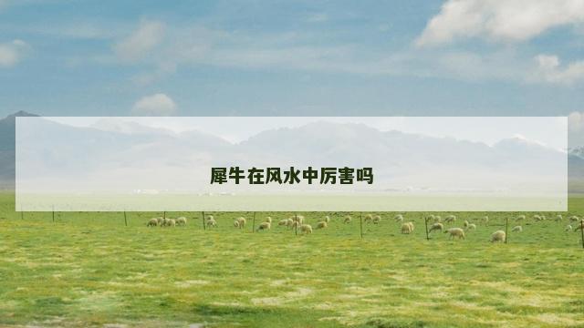 犀牛在风水中厉害吗