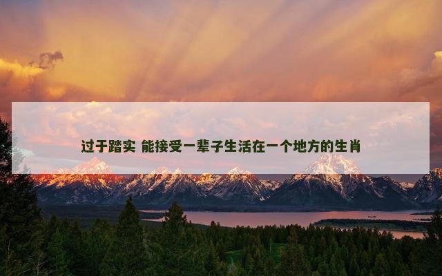 过于踏实 能接受一辈子生活在一个地方的生肖