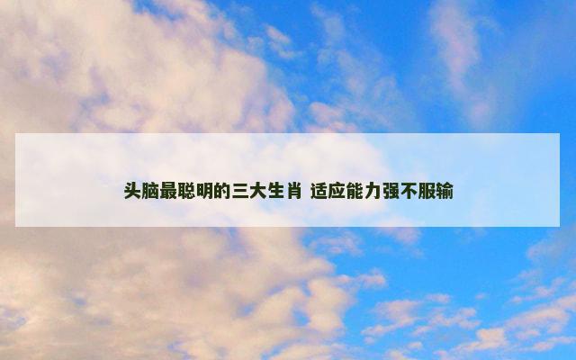 头脑最聪明的三大生肖 适应能力强不服输