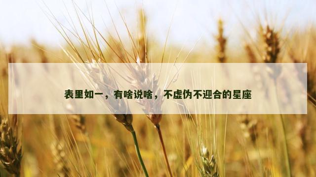 表里如一，有啥说啥，不虚伪不迎合的星座