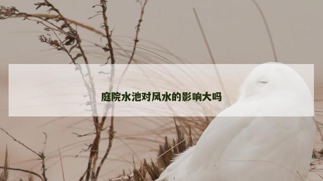 庭院水池对风水的影响大吗
