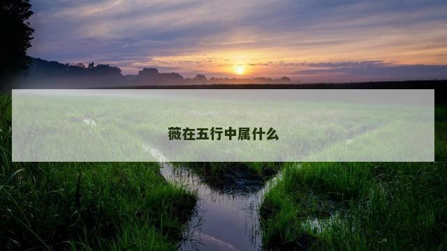 薇在五行中属什么