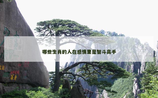 哪些生肖的人在感情里是智斗高手