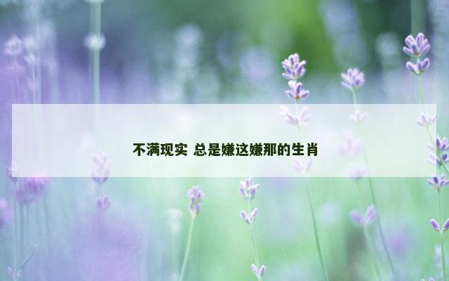 不满现实 总是嫌这嫌那的生肖