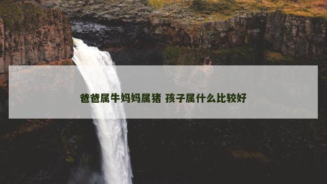 爸爸属牛妈妈属猪 孩子属什么比较好