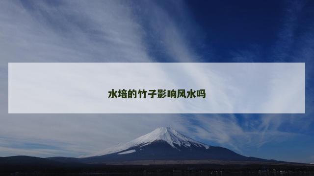 水培的竹子影响风水吗