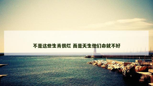 不是这些生肖很烂 而是天生他们命就不好