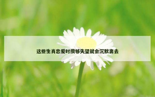 这些生肖恋爱时攒够失望就会沉默离去