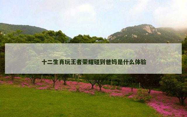 十二生肖玩王者荣耀碰到爸妈是什么体验