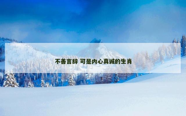 不善言辞 可是内心真诚的生肖