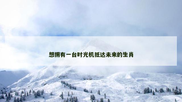 想拥有一台时光机抵达未来的生肖
