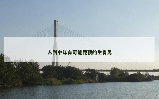 人到中年有可能秃顶的生肖男