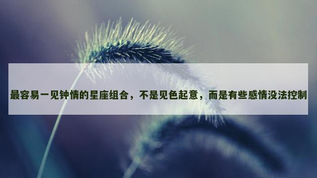 最容易一见钟情的星座组合，不是见色起意，而是有些感情没法控制