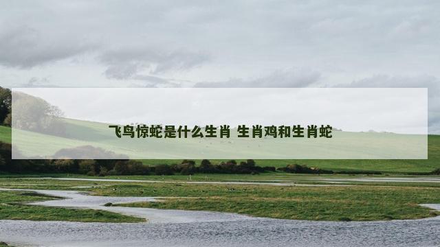 飞鸟惊蛇是什么生肖 生肖鸡和生肖蛇