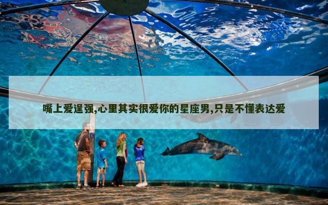 嘴上爱逞强,心里其实很爱你的星座男,只是不懂表达爱