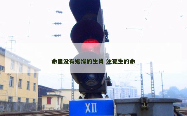 命里没有姻缘的生肖 注孤生的命