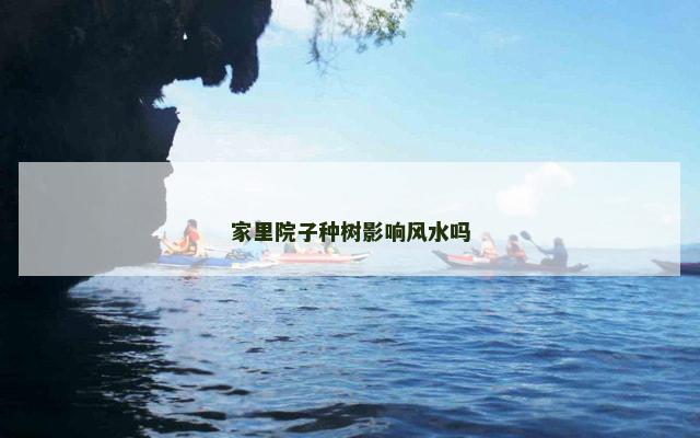 家里院子种树影响风水吗