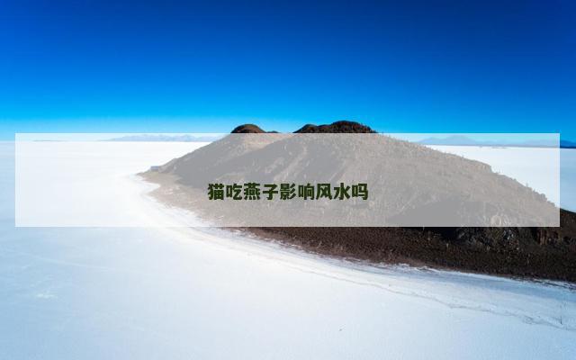猫吃燕子影响风水吗