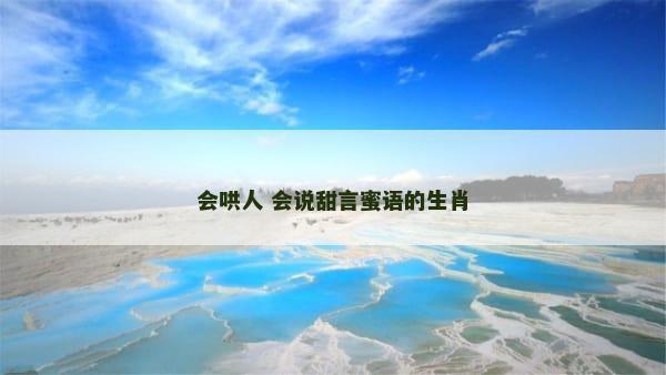 会哄人 会说甜言蜜语的生肖