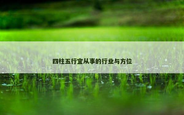 四柱五行宜从事的行业与方位