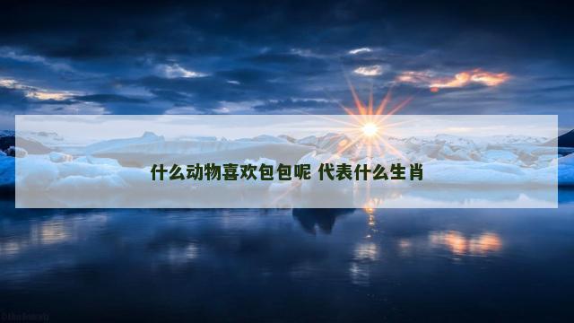 什么动物喜欢包包呢 代表什么生肖