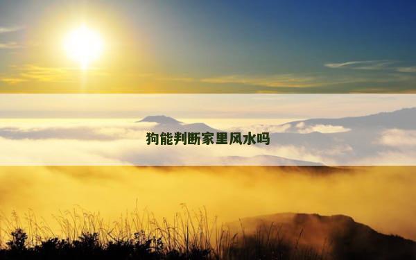 狗能判断家里风水吗
