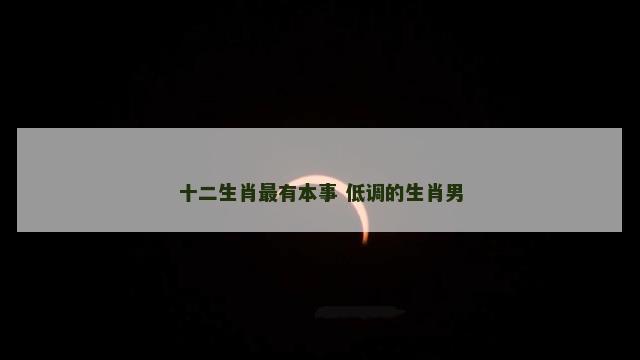 十二生肖最有本事 低调的生肖男