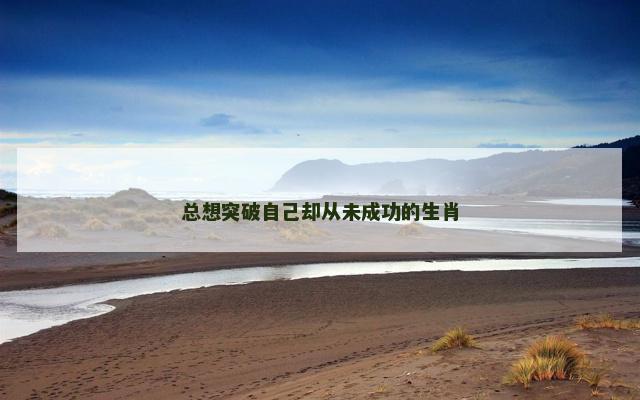 总想突破自己却从未成功的生肖